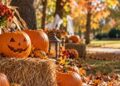 Alcalá celebrará Halloween el 31 de octubre en el Parque de la Juventud con actividades de ocio alternativo