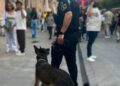 La Policía Local levanta siete actas por drogas en el Mercado Cervantino y denuncia a otras dos personas
