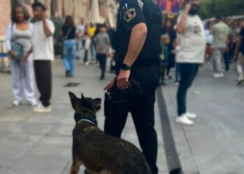La Policía Local levanta siete actas por drogas en el Mercado Cervantino y denuncia a otras dos personas