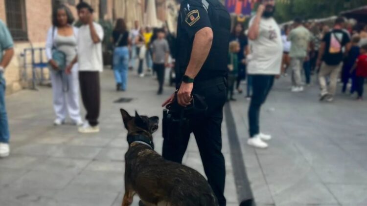 La Policia Local levanta siete actas