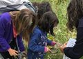 Más de 200 actividades gratuitas para disfrutar del otoño: rutas, talleres y planes cerca de Alcalá