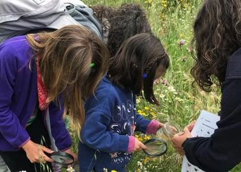 Más de 200 actividades gratuitas para disfrutar del otoño: rutas, talleres y planes cerca de Alcalá