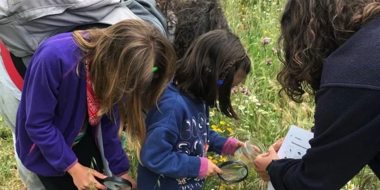 Más de 200 actividades gratuitas para disfrutar del otoño: rutas, talleres y planes cerca de Alcalá 1 Foto: Comunidad de Madrid