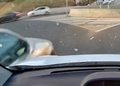 Un vídeo viral muestra cómo un coche embiste a otro al intentar salir desde el carril interior de una rotonda de Alcalá