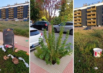 La asociación vecinal de Garena Sur denuncia retrasos en las mejoras del barrio y exige al Ayuntamiento compromisos y plazos 2 La asociación vecinal de Garena Sur denuncia retrasos en las mejoras del barrio y exige al Ayuntamiento compromisos y plazos