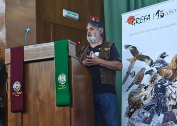 GREFA reclama más coordinación entre centros de recuperación de fauna tras registrar 8.600 ingresos en lo que va de año