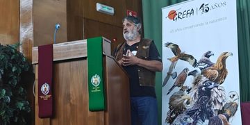 GREFA reclama más coordinación entre centros de recuperación de fauna tras registrar 8.600 ingresos en lo que va de año
