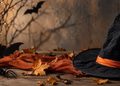 El Distrito IV de Alcalá celebra Halloween con cuentacuentos y talleres infantiles en dos espacios municipales 8 El Distrito IV de Alcalá celebra Halloween con cuentacuentos y talleres infantiles en dos espacios municipales
