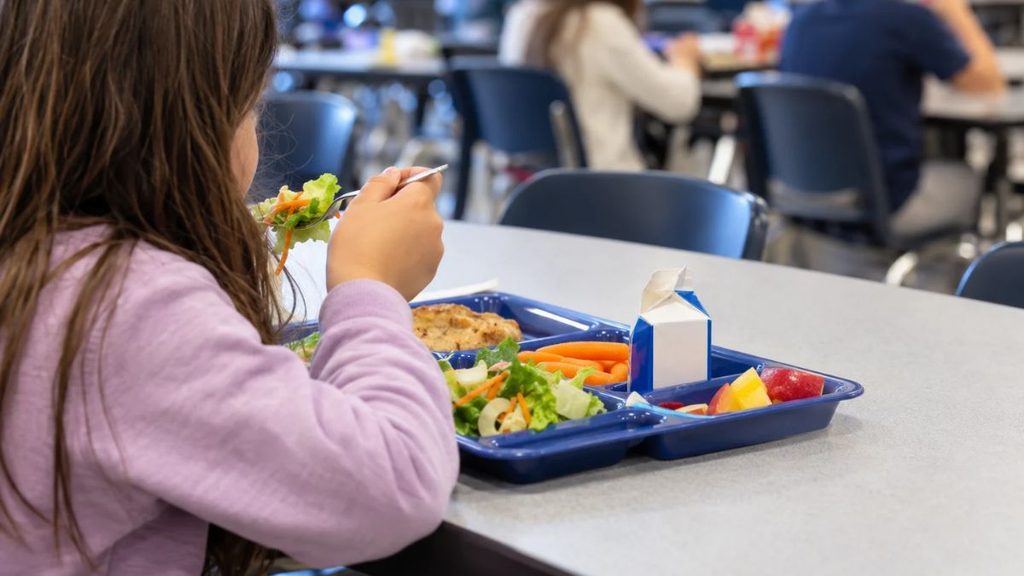 ninos comedor colegio