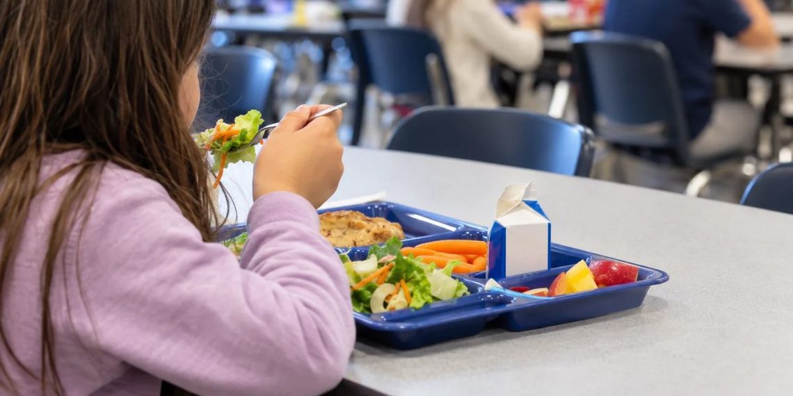 ninos comedor colegio