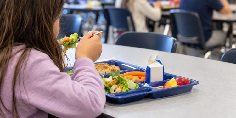 Las familias de Alcalá tienen una nueva oportunidad para solicitar las becas de comedor hasta el 16 de noviembre 1 ninos comedor colegio